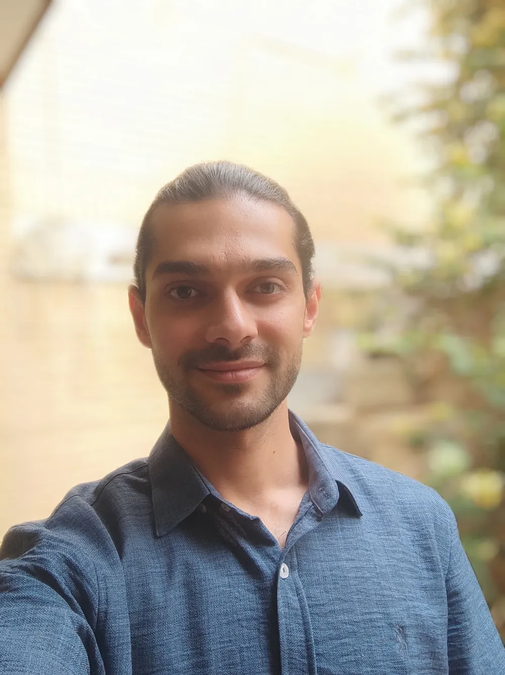 Mehdi Mehranfa